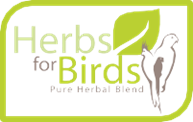 herbs_for_birds