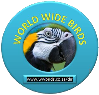 world_wide_birds